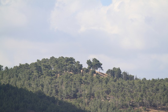 삼손의무덤(근경).JPG