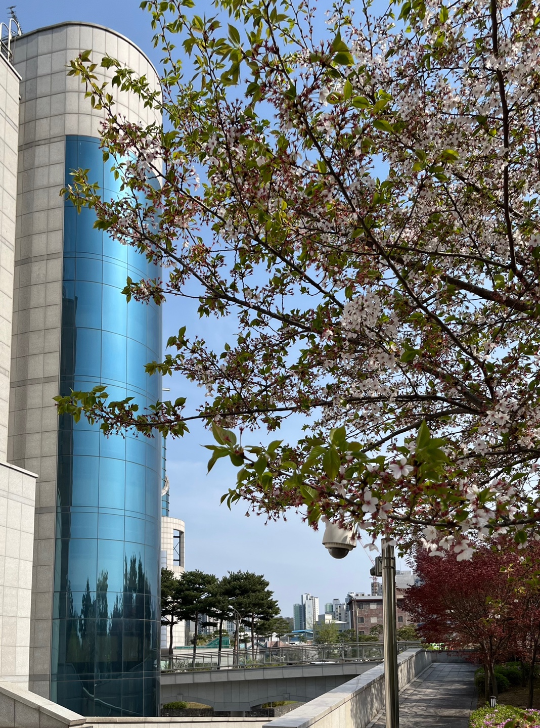 KakaoTalk_20240412_152447408_03.jpg
