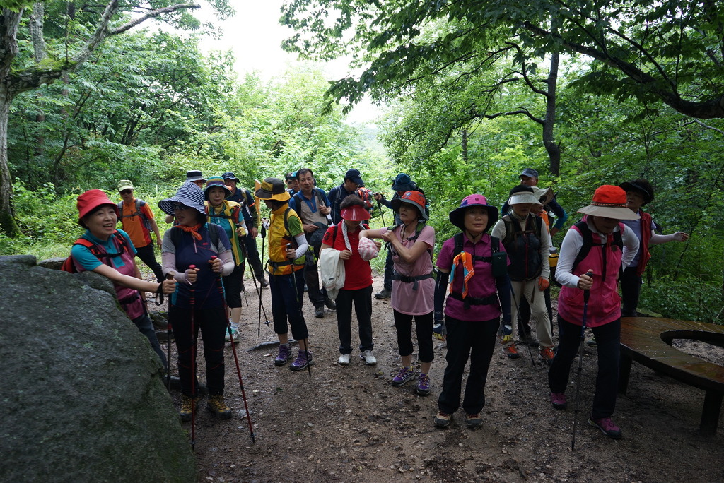 DSC04995.jpg