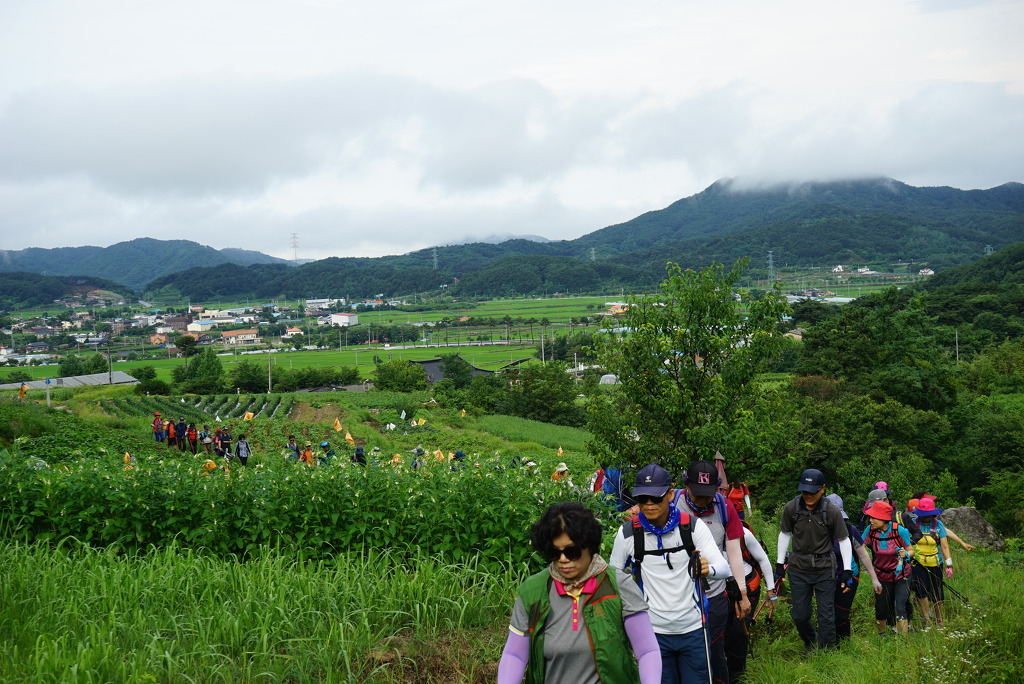 DSC04987.jpg