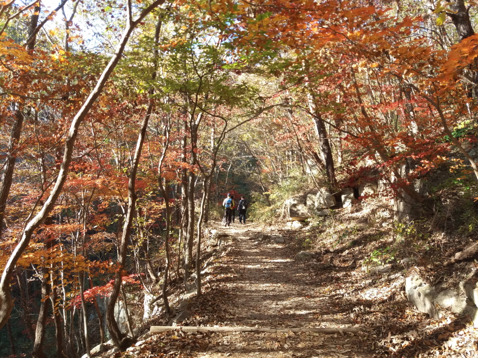 크기변환_20191109_091442.jpg