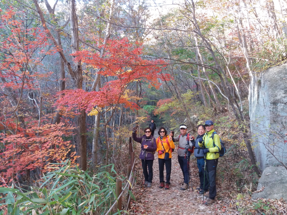 크기변환_20191109_091518.jpg