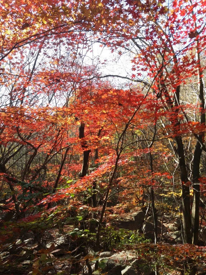 크기변환_20191109_095704.jpg