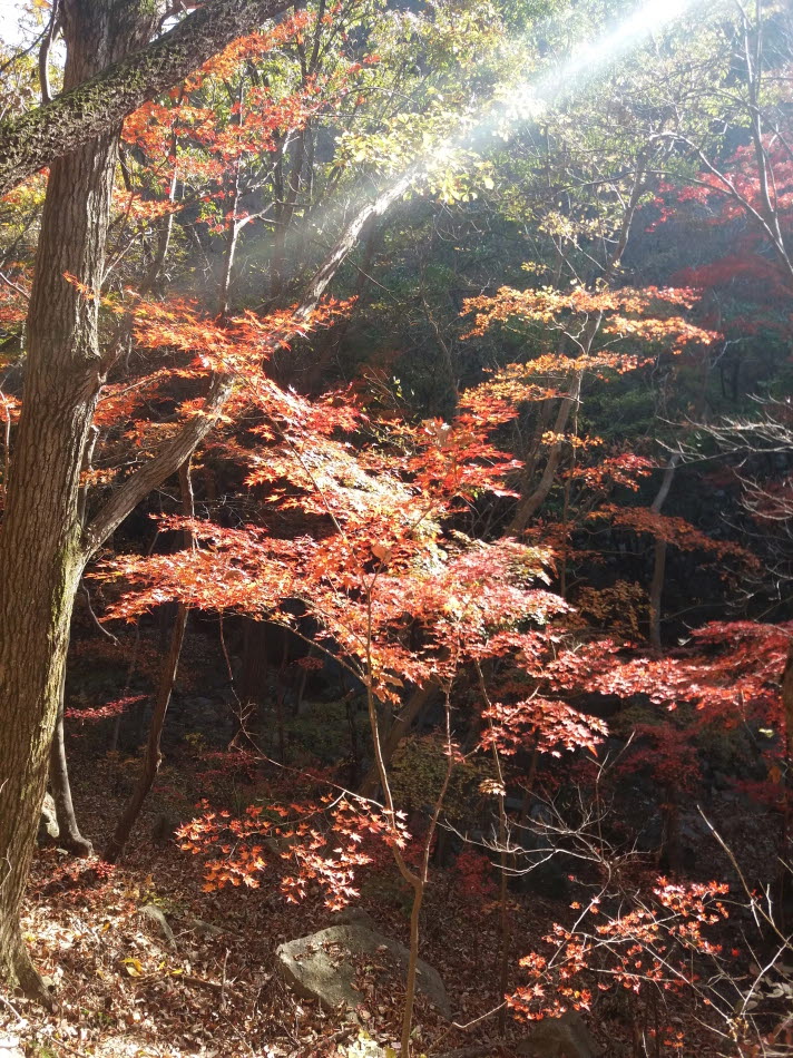 크기변환_20191109_133302.jpg