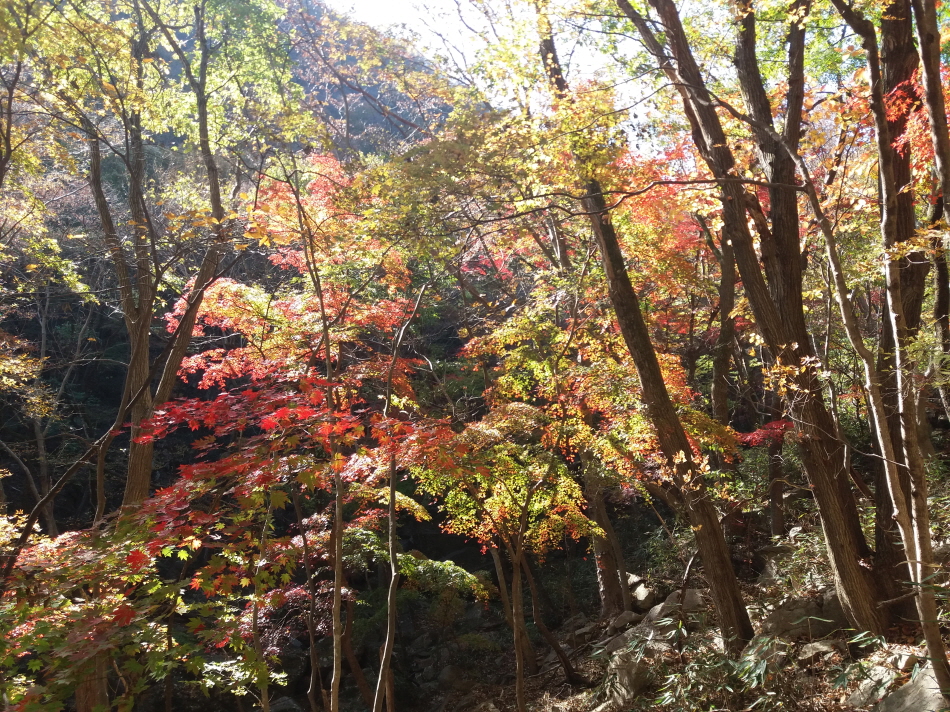 크기변환_20191109_133832.jpg