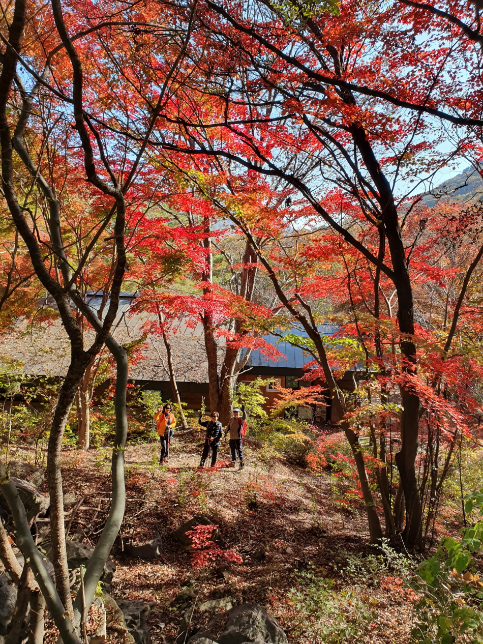 크기변환_BandPhoto_2019_11_10_20_39_27.jpg