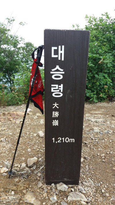 daum_gallery_photo_20180726094227.jpg