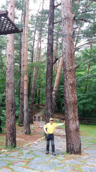 daum_gallery_photo_20180726094046.jpg
