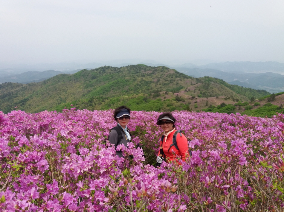 크기변환_20190504_132736.jpg