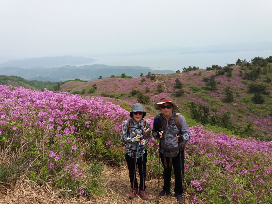 크기변환_20190504_132547.jpg