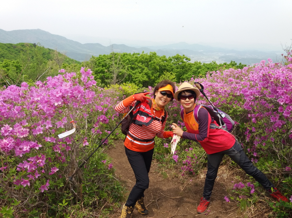 크기변환_20190504_125223.jpg