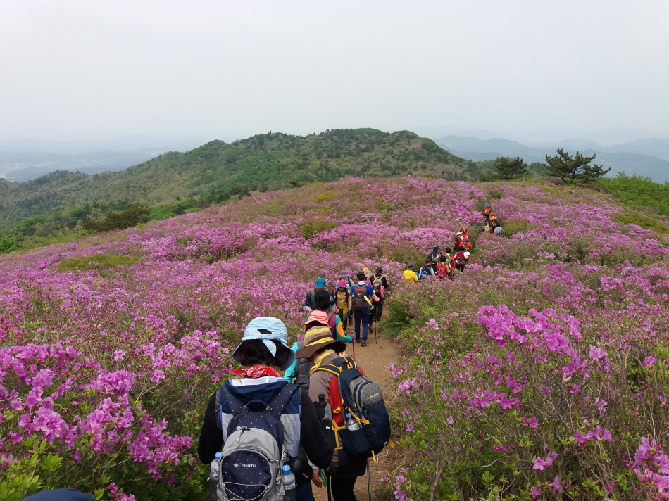크기변환_20190504_134845.jpg