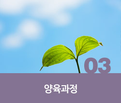 양육과정.jpg