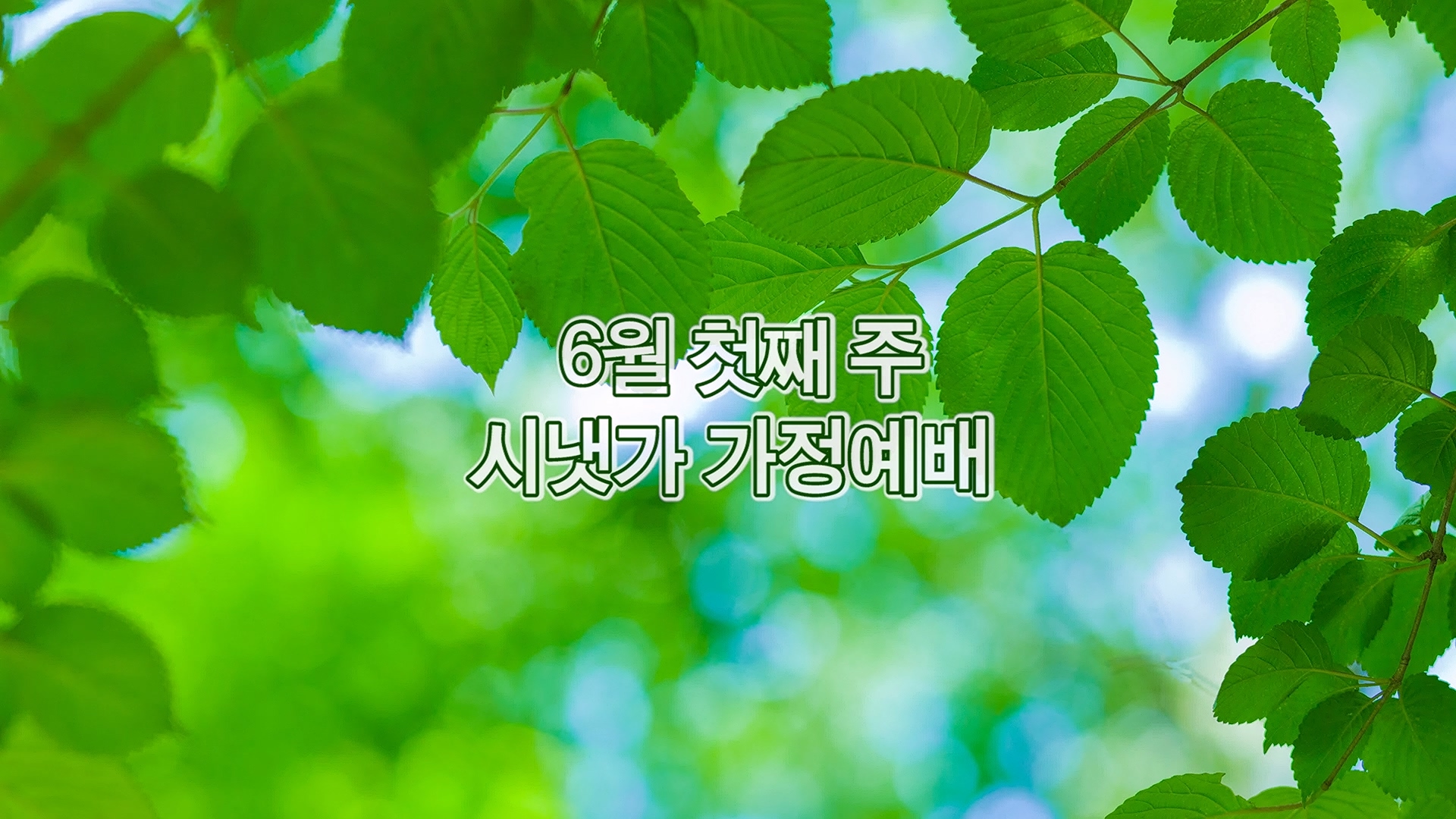 6월 첫째주 시냇가 가정예배.mp4_20260605_215444.169.jpg