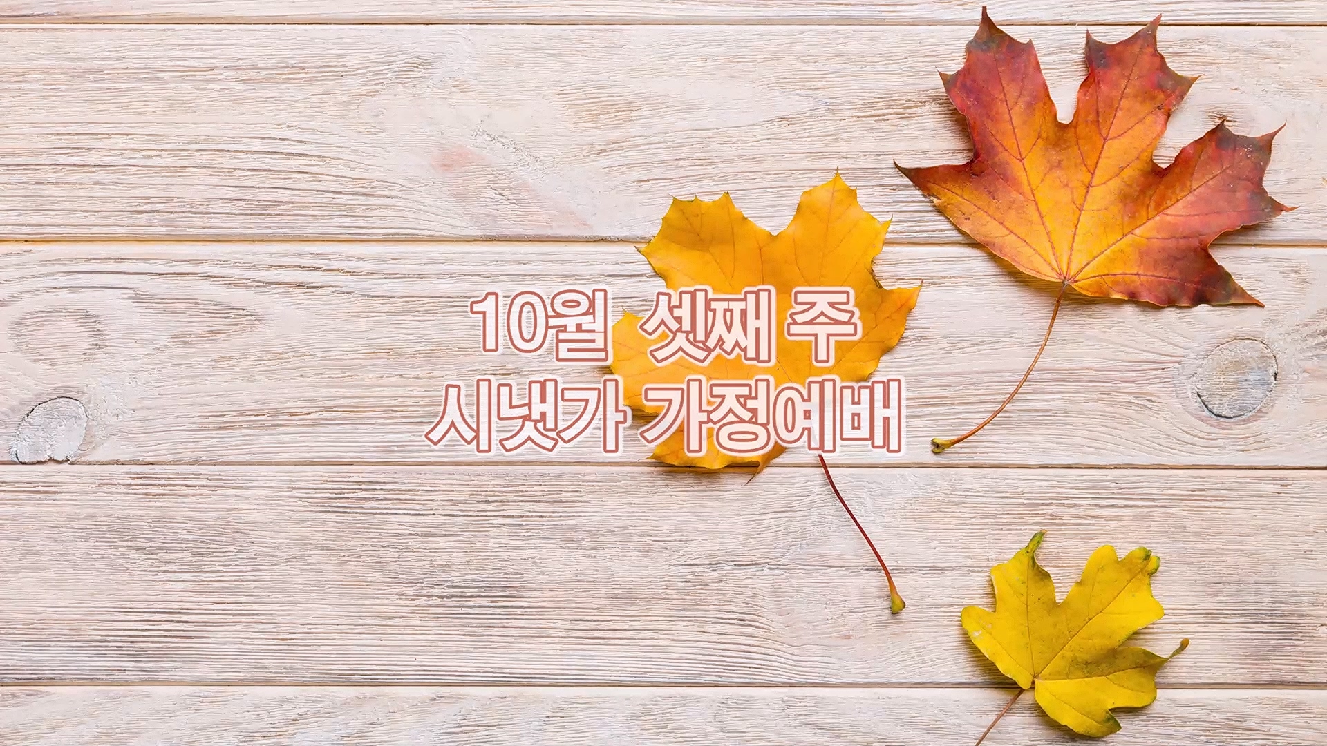10월 셋째주 시냇가 가정예배.mp4_20261013_165030.582.jpg