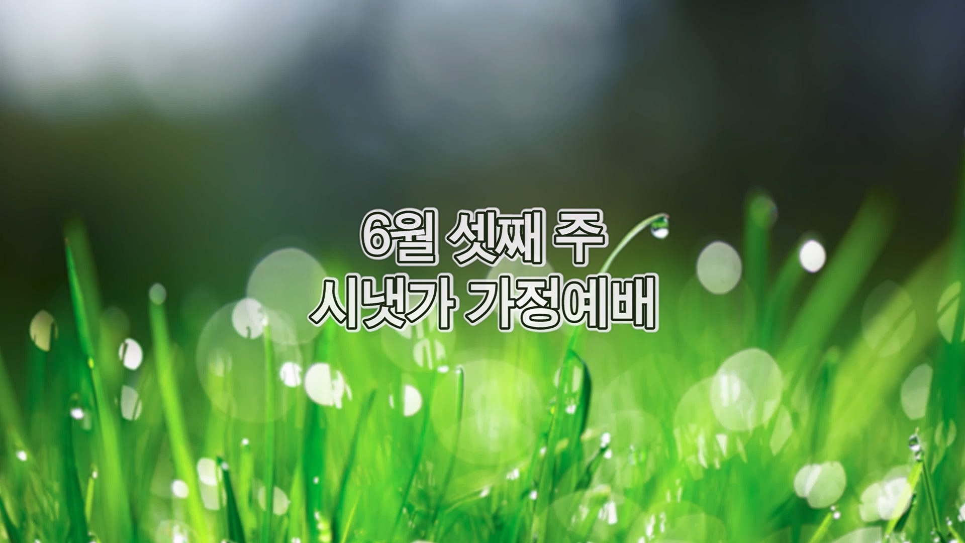 6월 셋째주 시냇가 가정예배.mp4_20260619_170843.887.jpg