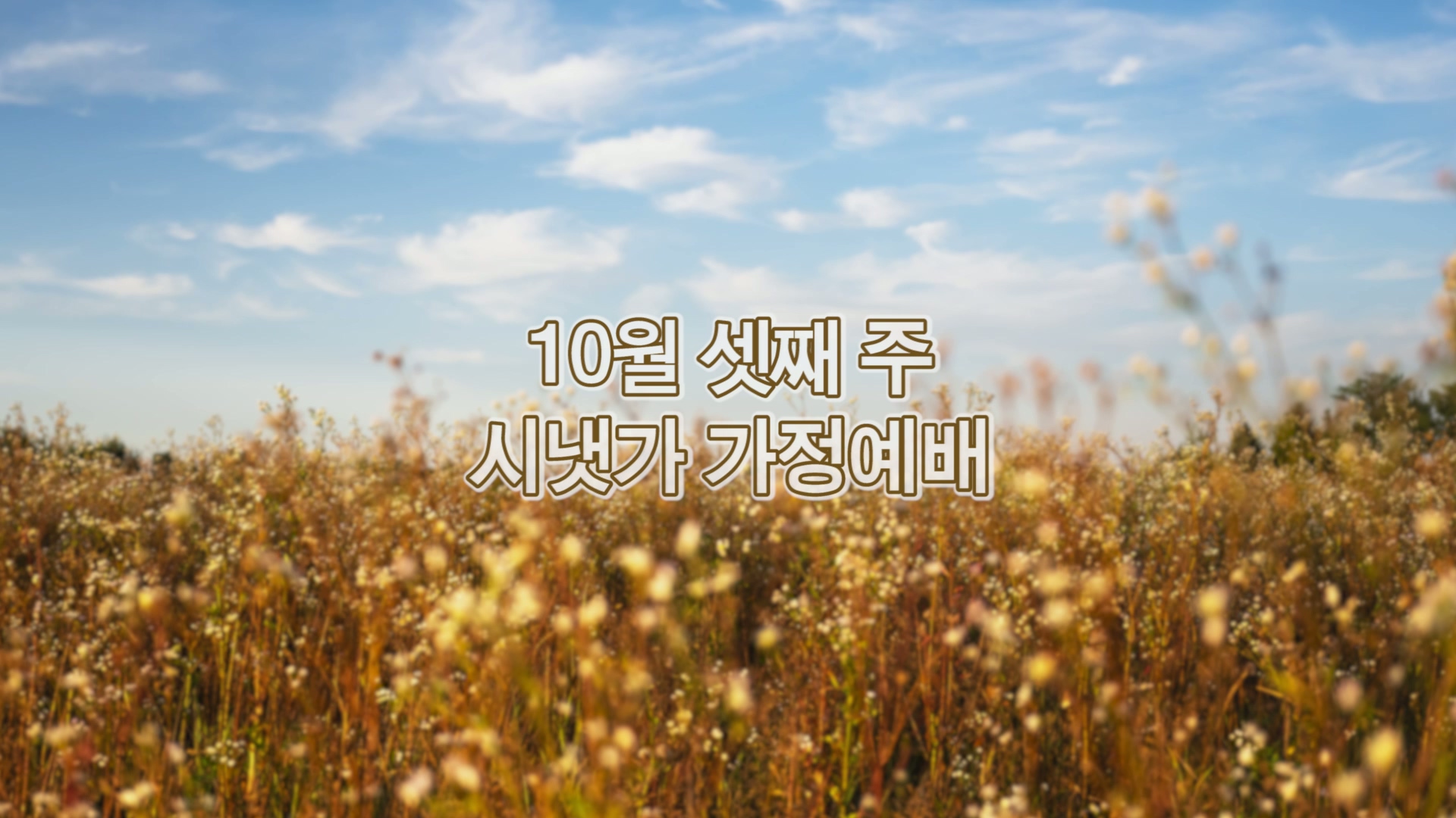 10월 셋째주 시냇가 가정예배.mp4_20251017_172456.961.jpg