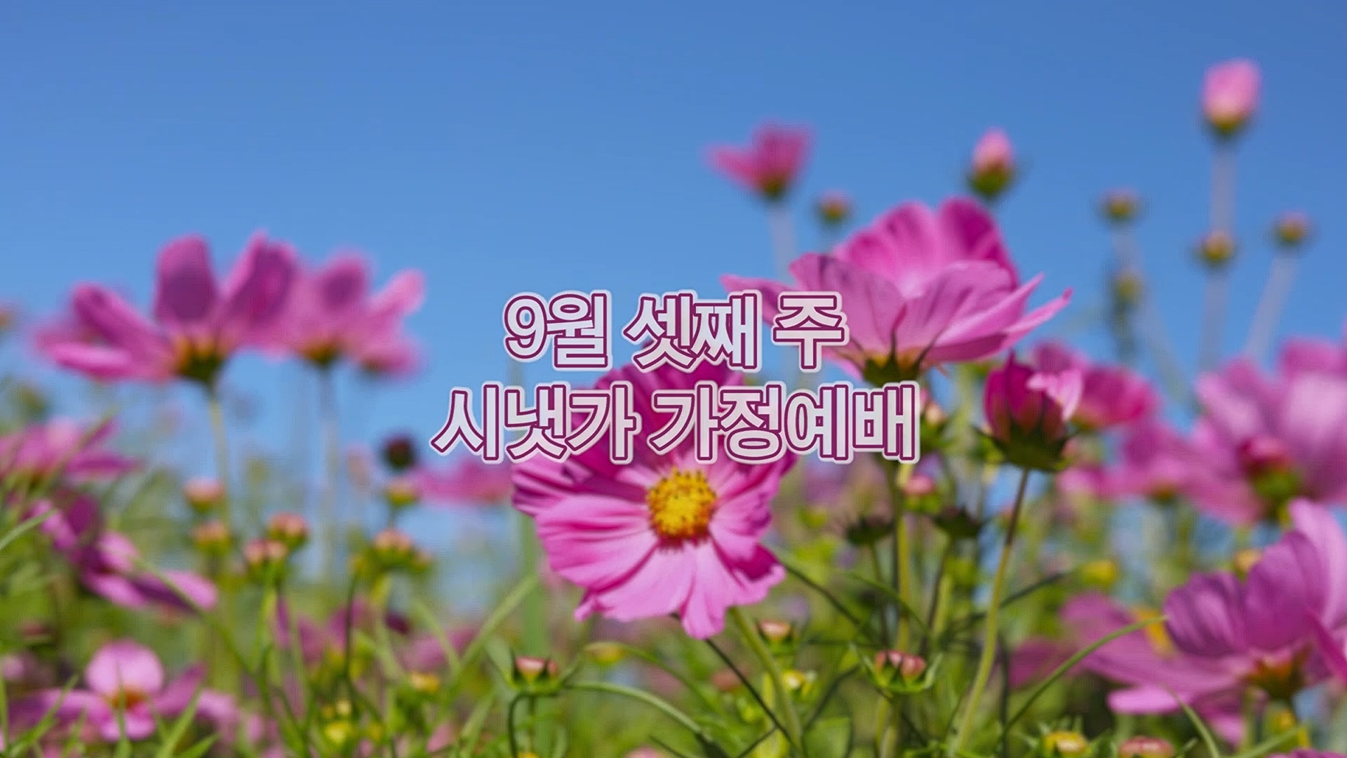 9월 셋째주 시냇가 가정예배.mp4_20260919_135916.646.jpg