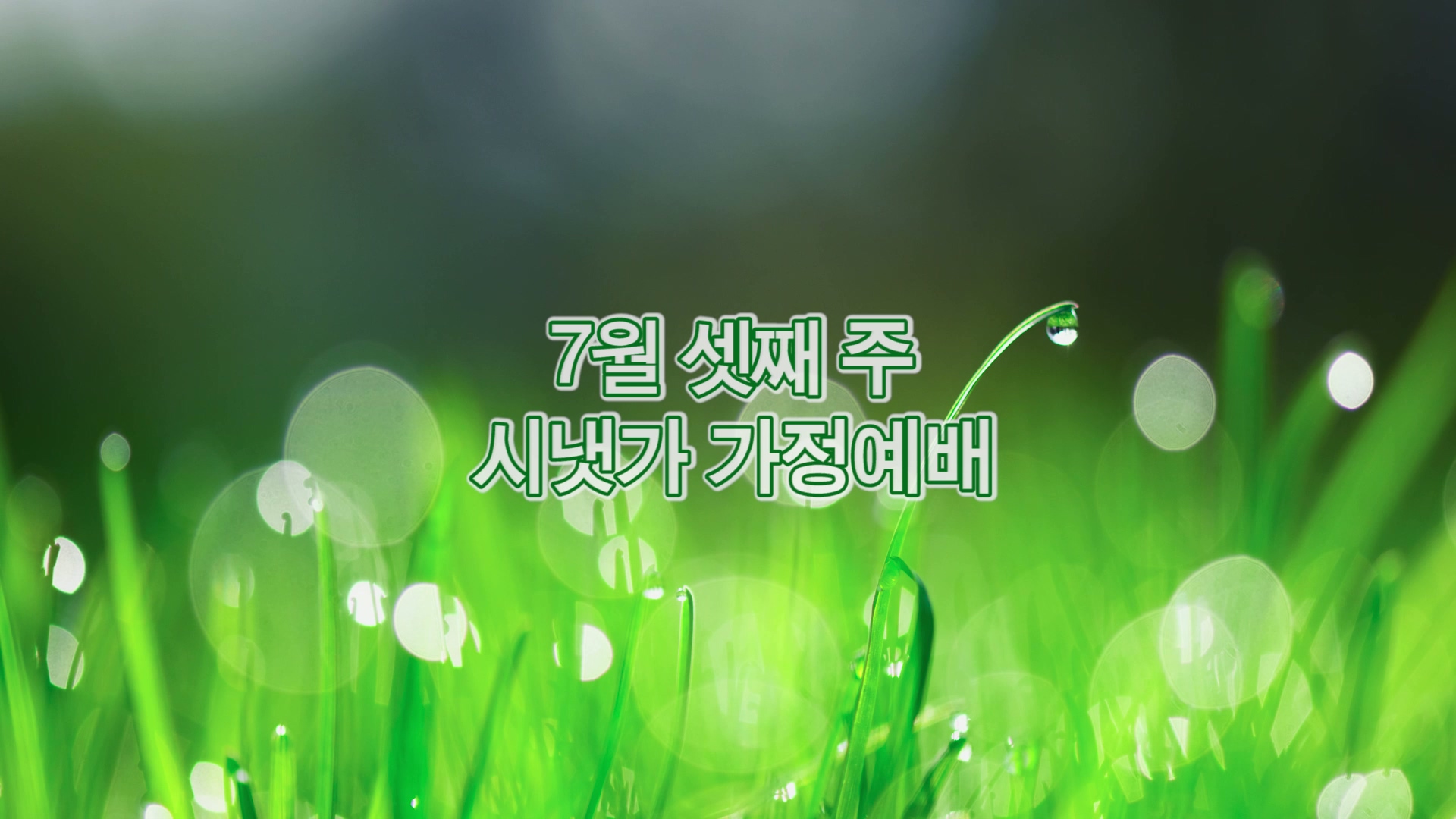 7월 셋째주 시냇가 가정예배.mp4_20250718_093946.102.jpg
